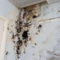 Water Damage Cleanup 0